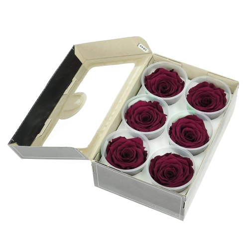 Everlasting roses (preserved) dark pink - large - set 6 pcs