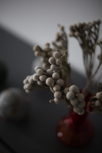 Dried Brunia - bunch - dried flowers