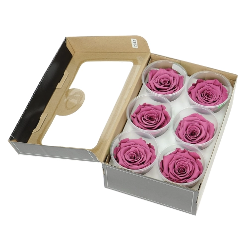 Everlasting roses (preserved) lilac - large - set 6 pcs