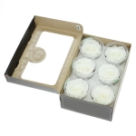 Everlasting roses (preserved) white - large - set 6 pcs