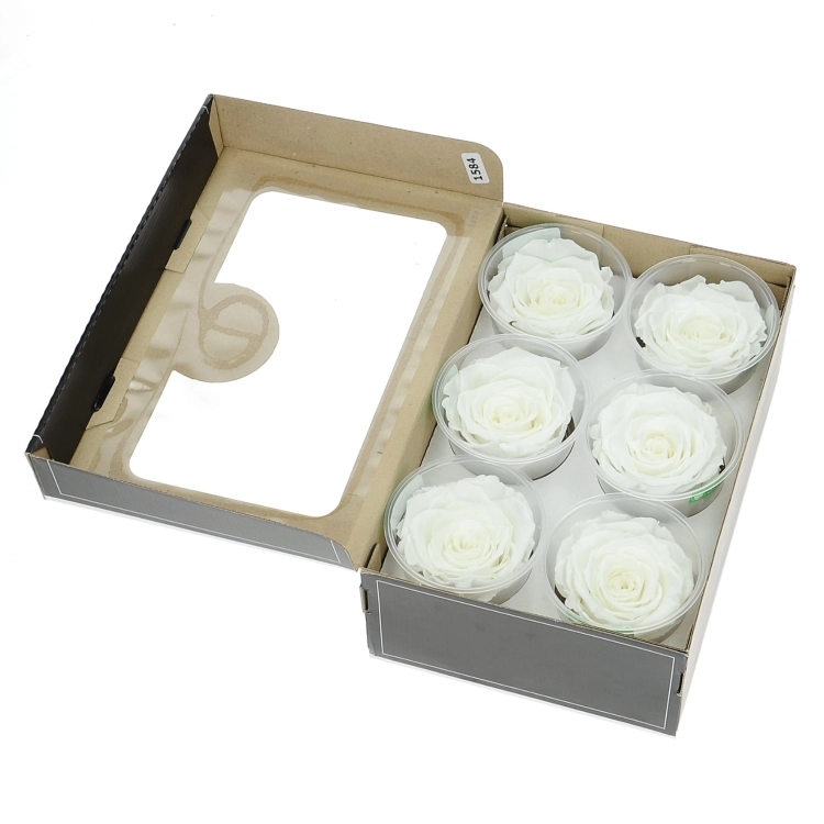 Everlasting roses (preserved) white - large - set 6 pcs