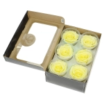 Everlasting roses (preserved) yellow - large - set 6 pcs