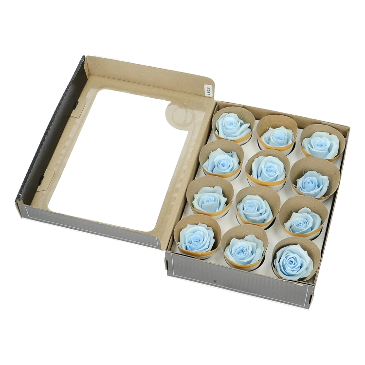 Everlasting roses (preserved) blue - small- set 12 pcs