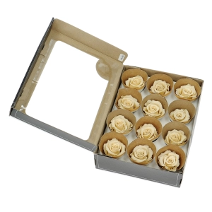 Everlasting roses (preserved) cream - small - set 12 pcs