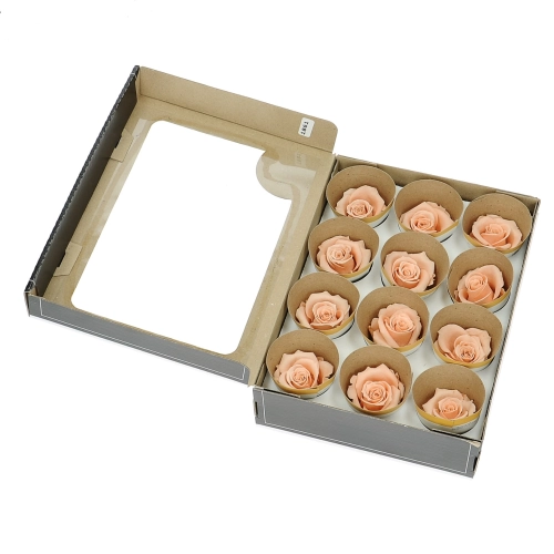 Everlasting roses (preserved) peach - small - set 12 pcs