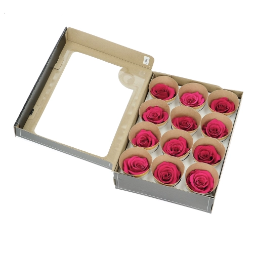 Everlasting roses (preserved) fuchsia - small - set 12 pcs