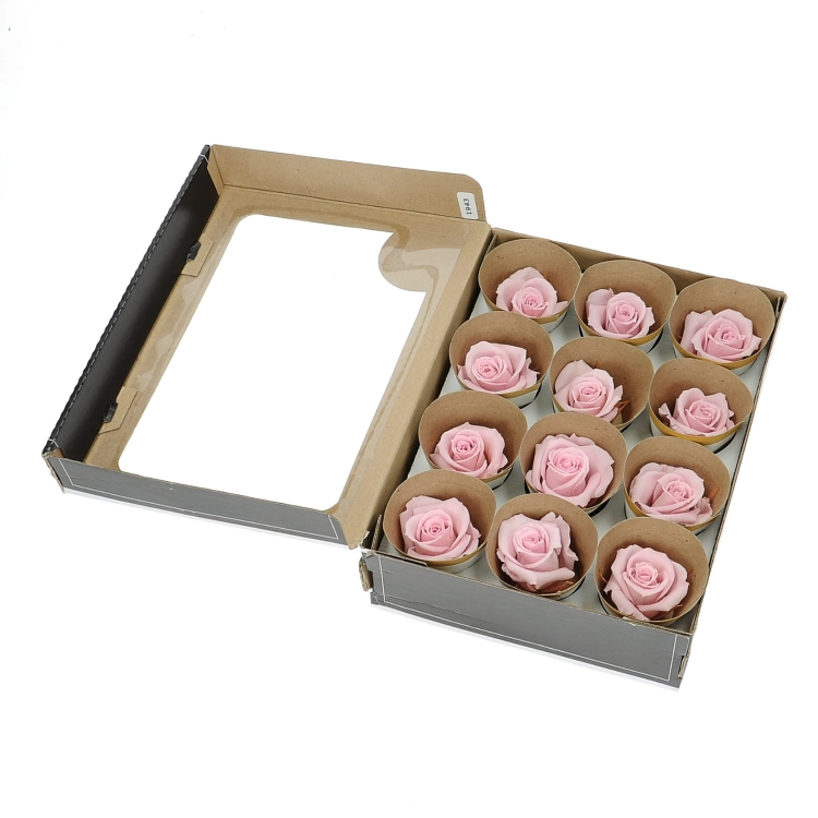 Everlasting roses (preserved) pink  - small- set 12 pcs