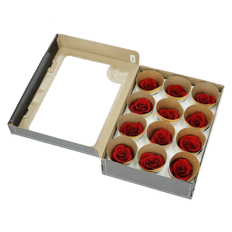 Everlasting roses (preserved) red - small - set 12 pcs