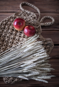 Dried bleached Wheat - bunch ~60 pcs