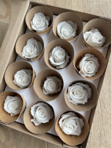Everlasting rose (preserved) white - small