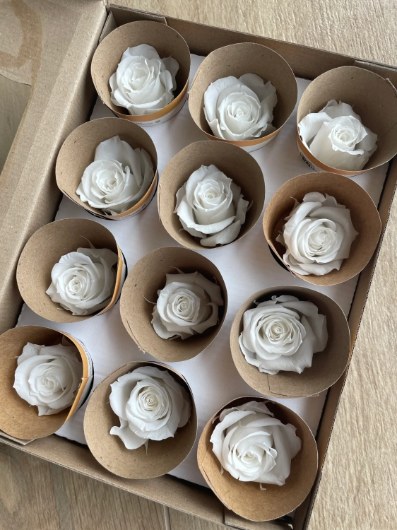 Everlasting rose (preserved) white - small