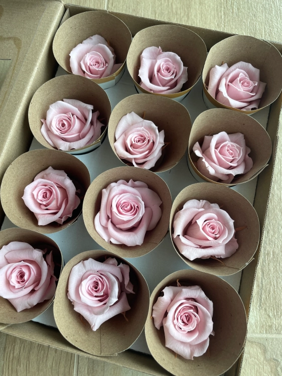 Everlasting rose (preserved) pink - small