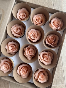 Everlasting rose (preserved) peach - small