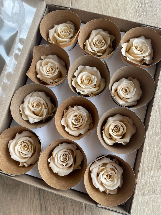Everlasting rose (preserved) cream - small