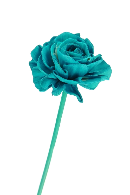 Shola flower - sea blue dahlia - stem