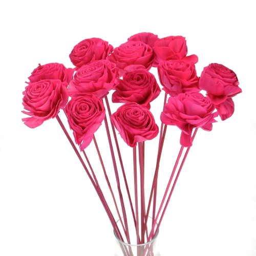 Shola flower - fuchsia rose - stem
