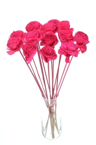 Shola flower - fuchsia rose - stem
