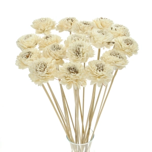 Shola flower - white zinnia - stem