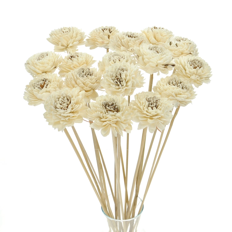 Shola flower - white zinnia - stem
