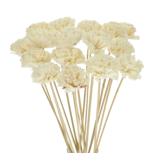 Shola flower - white carnation - stem
