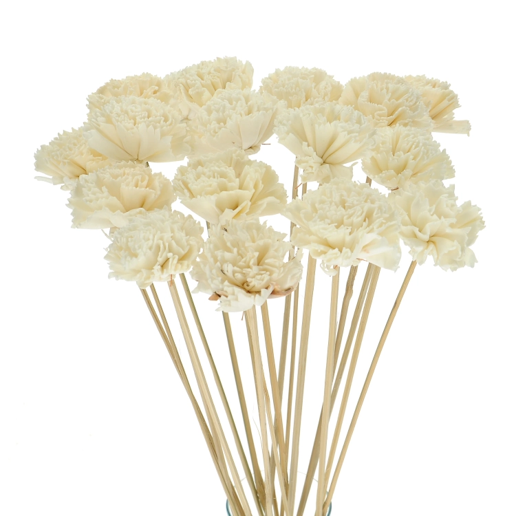 Shola flower - white carnation - stem