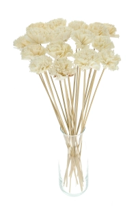 Shola flower - white carnation - stem