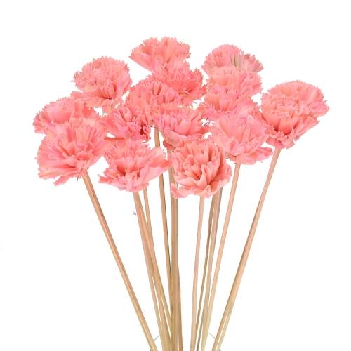 Shola flower - pink carnation - stem