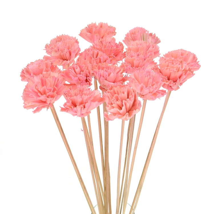 Shola flower - pink carnation - stem