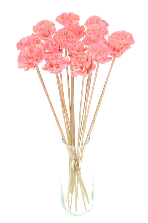 Shola flower - pink carnation - stem