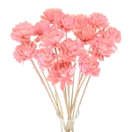 Shola flower - pink dahlia - stem