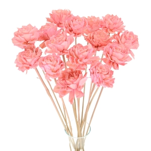 Shola flower - pink dahlia - stem