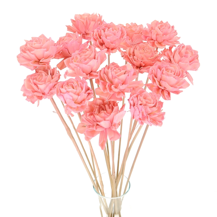 Shola flower - pink dahlia - stem