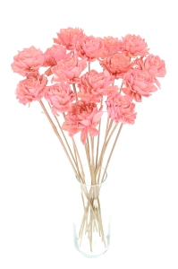 Shola flower - pink dahlia - stem
