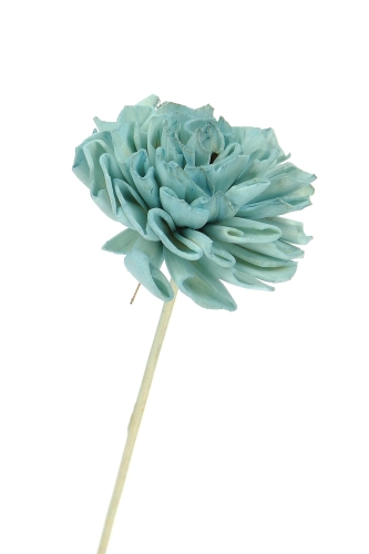 Shola flower - blue dahlia - stem