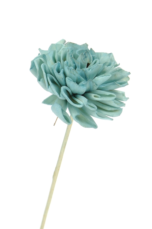 Shola flower - blue dahlia - stem