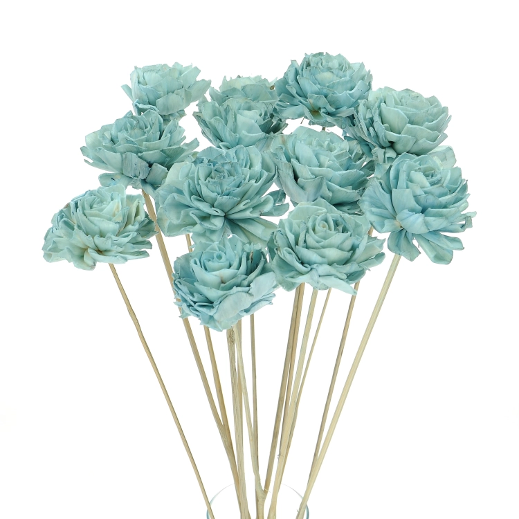 Shola flower - blue dahlia - stem