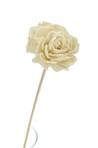 Shola flower - white dahlia - stem