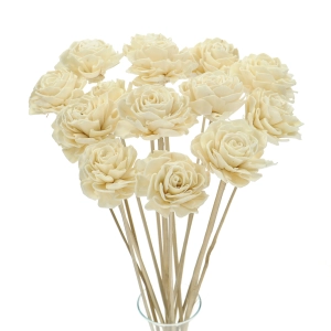 Shola flower - white dahlia - stem