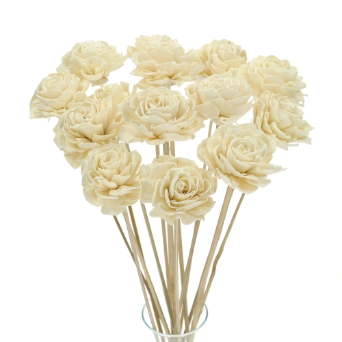 Shola flower - white dahlia - stem