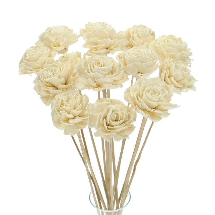 Shola flower - white dahlia - stem