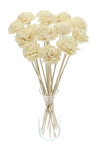 Shola flower - white dahlia - stem