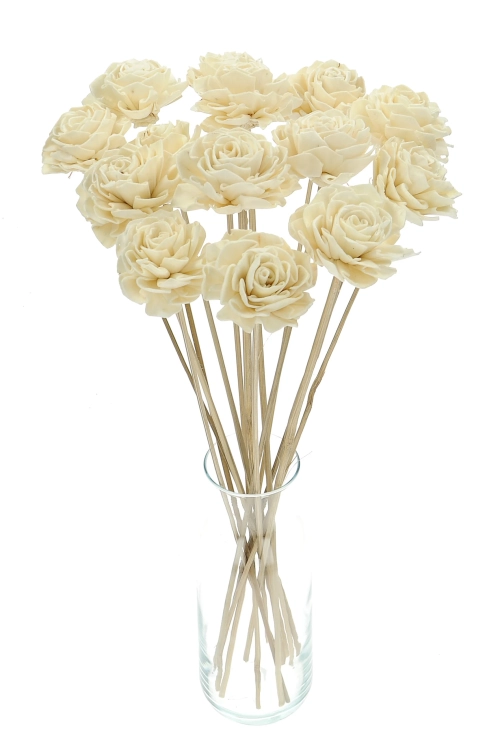 Shola flower - white dahlia - stem