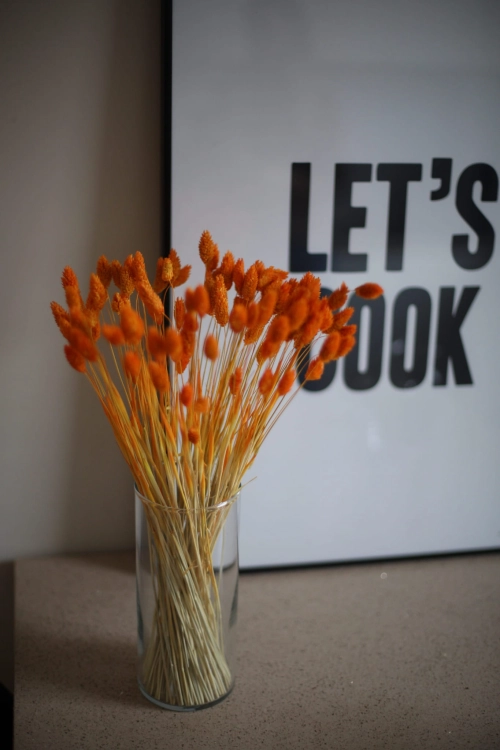 Dried orange Phalaris - canary grass ~80 stems