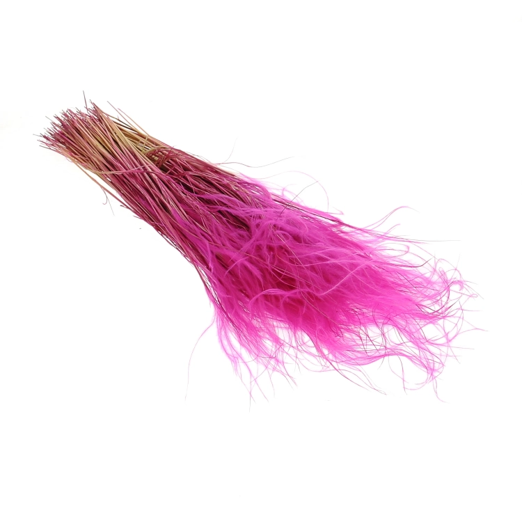 Dried fuchsia pink Stipa feather (Stipa pennata) - bunch