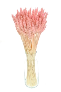 Dried pink Wheat - bunch ~60 pcs