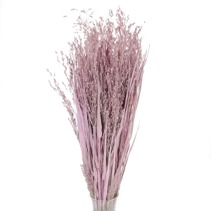 Dried grass - pink Switchgrass - bunch