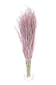 Dried grass - pink Switchgrass - bunch