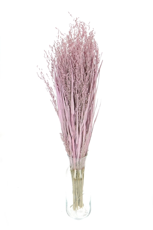 Dried grass - pink Switchgrass - bunch