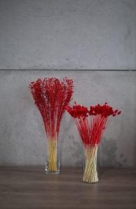 Flachs rot - Strauß - Trockenblumen