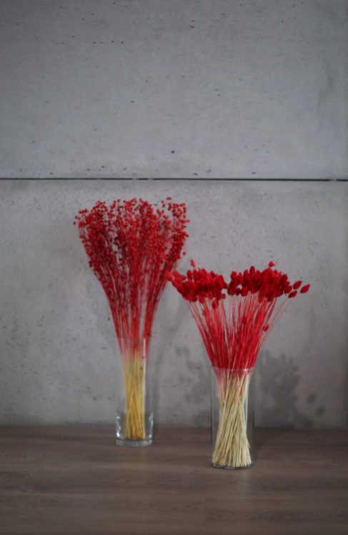 Dried red Linum (Flax) - bunch - dried flowers